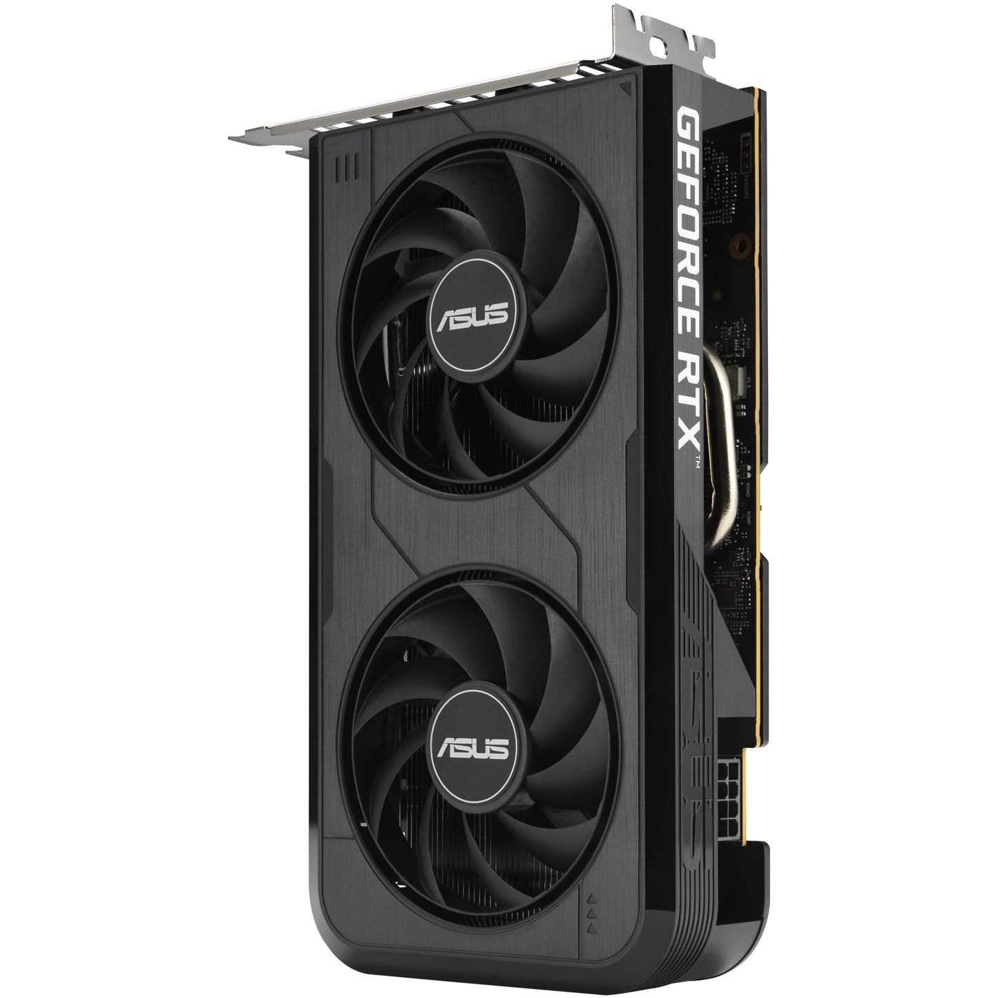 RTX 5050 8GB Asus Dual OC