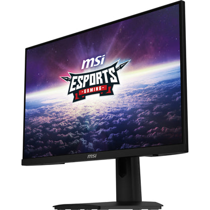 MSI Monitor G244F E2 (G244F E2)