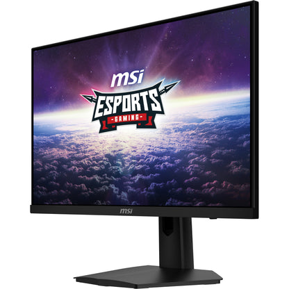 MSI Monitor G244F E2 (G244F E2)