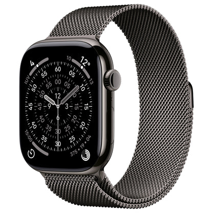 Apple Watch S11 Titan Schiefer Cellular 46mm (Milanaise Armband schiefer) M/L