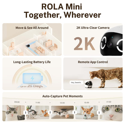 ENABOT ROLA Mini Katzenspielzeug Laser interaktiver Katzenroboter