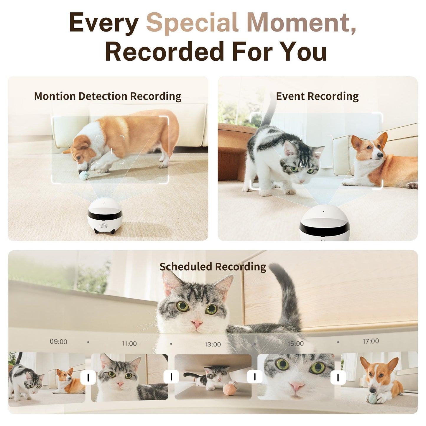 ENABOT ROLA Mini Katzenspielzeug Laser interaktiver Katzenroboter