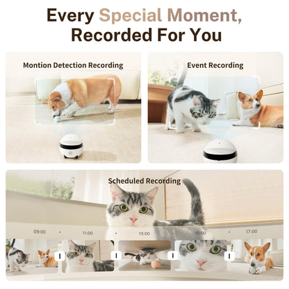 ENABOT ROLA Mini Katzenspielzeug Laser interaktiver Katzenroboter