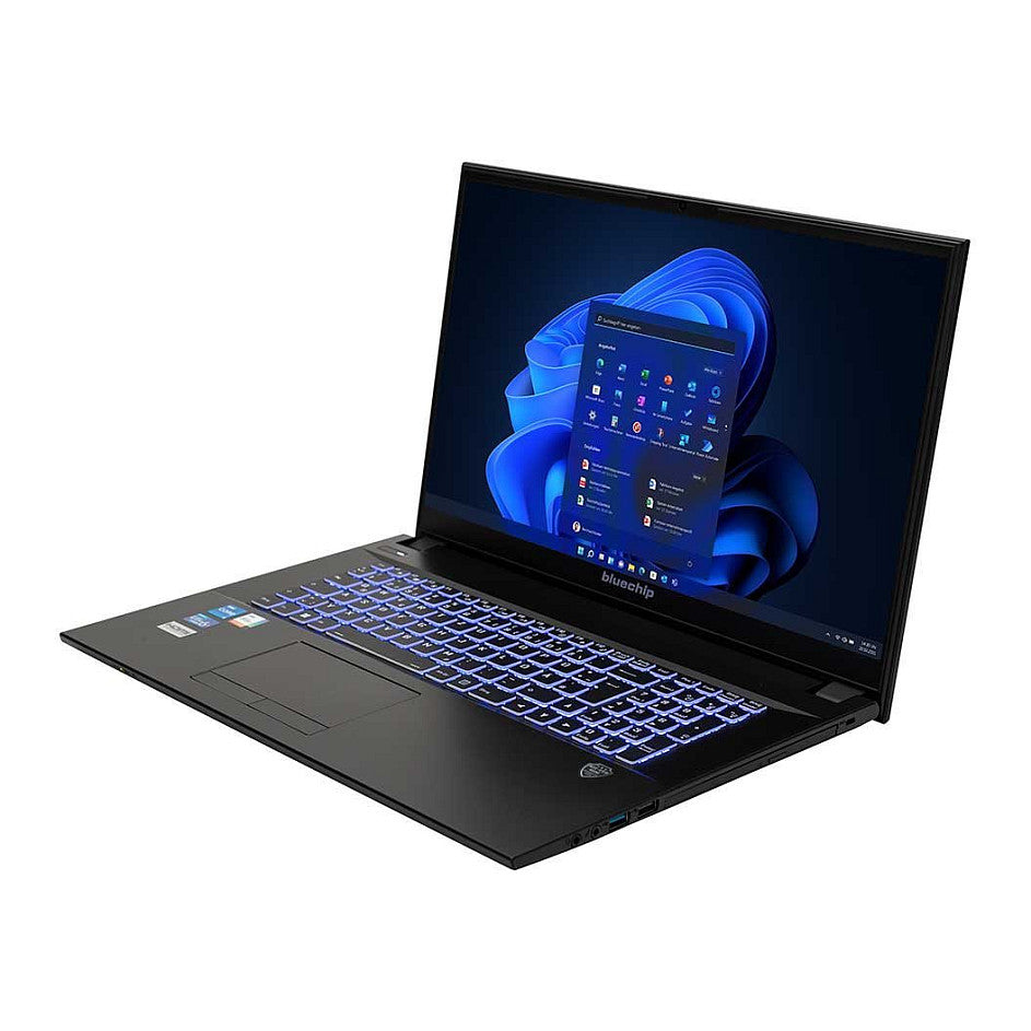 bluechip TRAVELline B17W27 i5-1335U W11Pro 17.3" 16GB 500GB SSD DVD±RW. Militärstandard