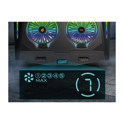 CONCEPTRONIC 2-Fan USB-A2.0 Laptop-Kühlpad 40Kg RGB 17" sw