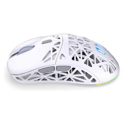 ENDORFY LIV Plus Wireless onyx white
