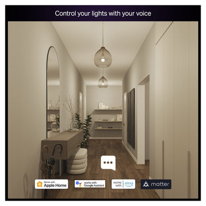 Philips Hue Essential WCA 806 A60 E27 1P EU
