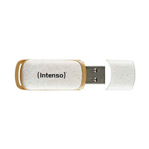 STICK Intenso Green Line 128 GB (beige/braun, USB-A 3.2 Gen 1)