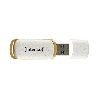 STICK Intenso Green Line 128 GB (beige/braun, USB-A 3.2 Gen 1)