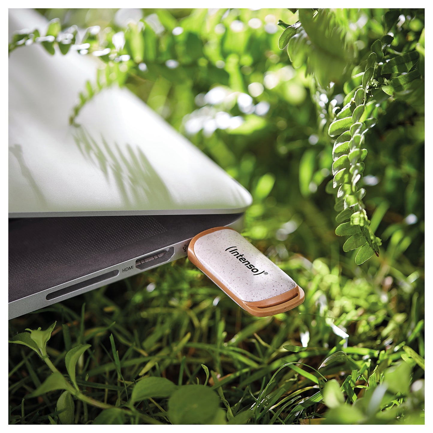 STICK Intenso Green Line 128 GB (beige/braun, USB-A 3.2 Gen 1)
