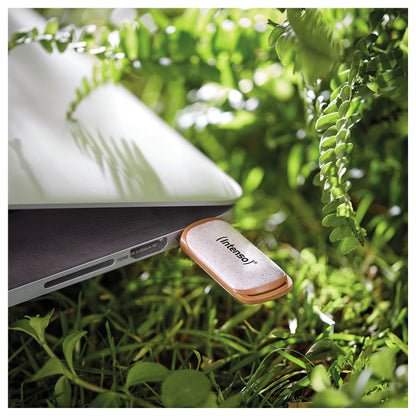 STICK Intenso Green Line 128 GB (beige/braun, USB-A 3.2 Gen 1)
