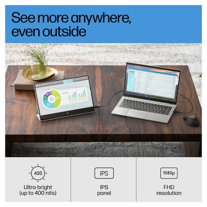 HP E14 G4 Tragbarer Monitor - IPS-Panel, USB-C, 5 ms