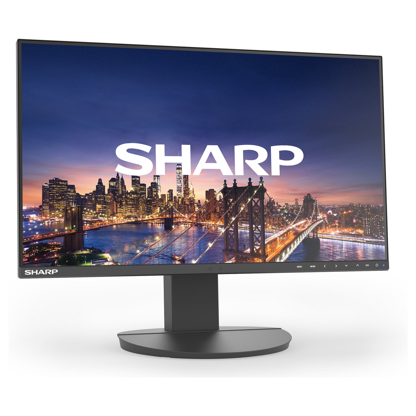 DD-EA242F BLACK 24IN IPS 1920 X 1080 1000:1 250CD