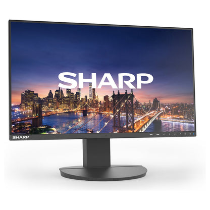 DD-EA242F BLACK 24IN IPS 1920 X 1080 1000:1 250CD
