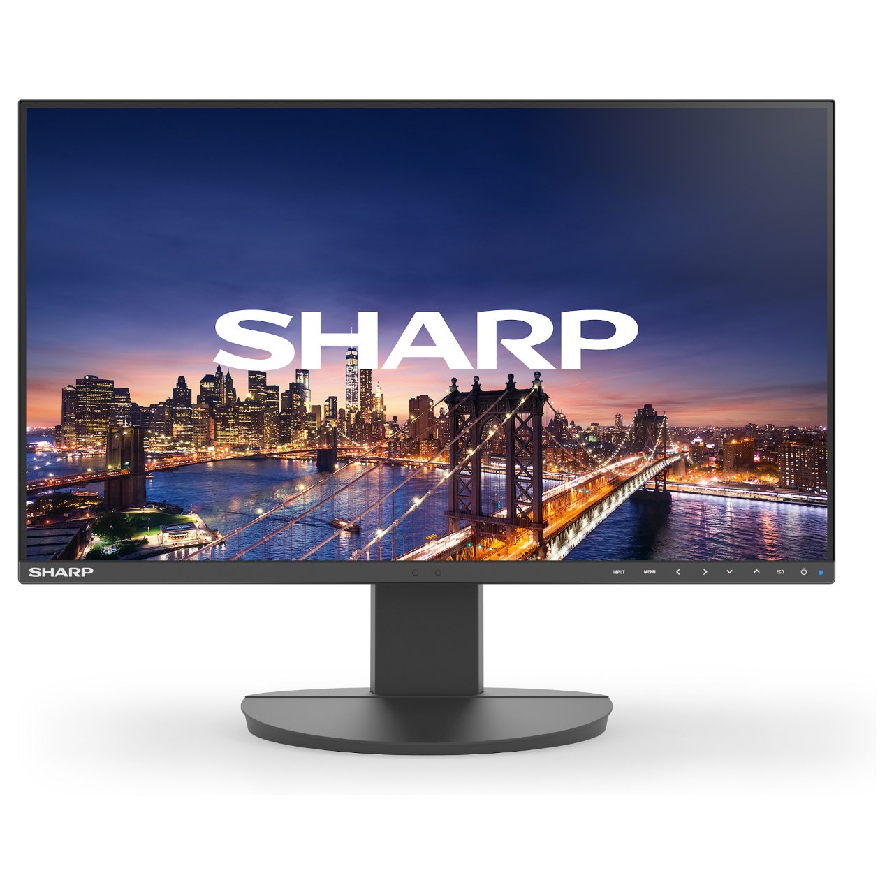 DD-EA242F BLACK 24IN IPS 1920 X 1080 1000:1 250CD