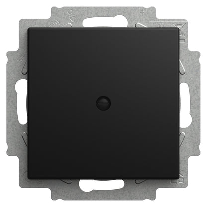 BUSCH JAEGER BJ 2538-915 Blindzentralscheibe mit Tragring Busch-balance® SI