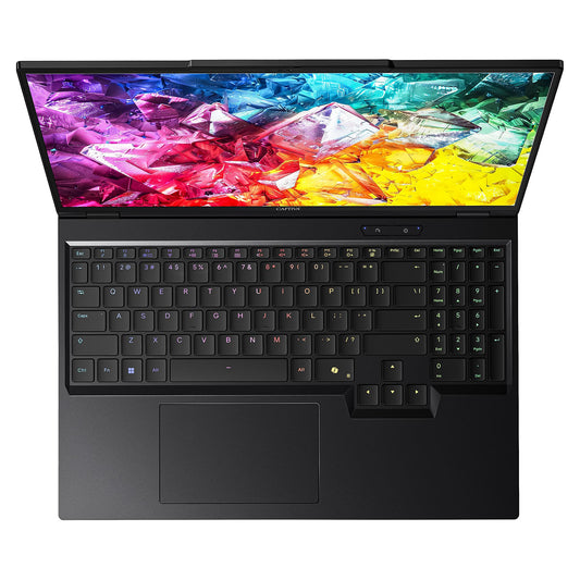Captiva Notebook Highend Gaming R95-065GE 32GB/1TB SSD RTX5080 Win 11