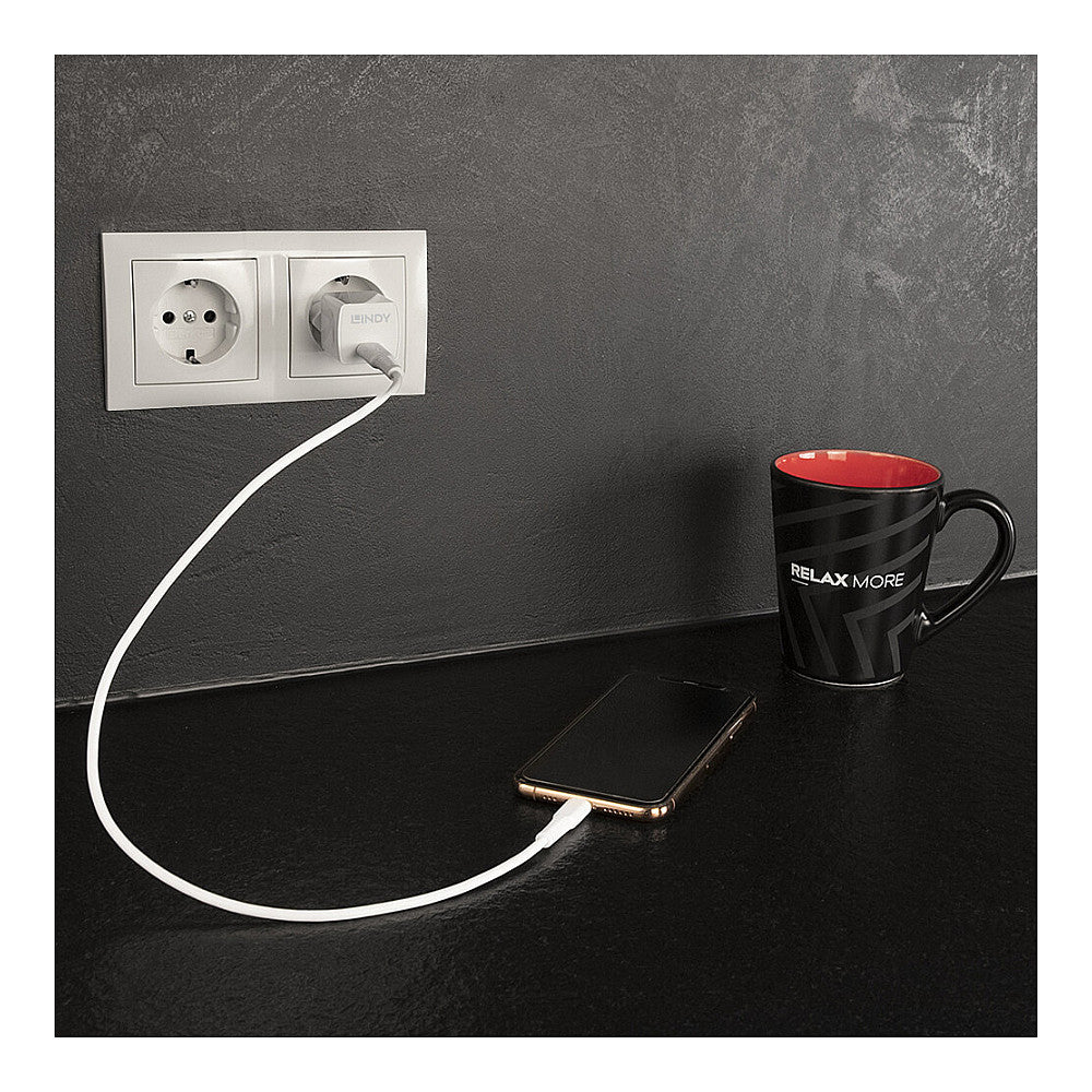LINDY USB Typ C PD Charger 20W