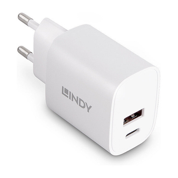LINDY USB Typ A & C Charger 20W, weiß