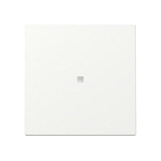 GIRA 329027 Wippe Kontrollf. System 55 Reinweiß m