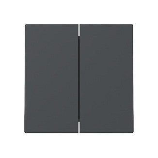 GIRA 329528 Wippe 2f System 55 Anthrazit