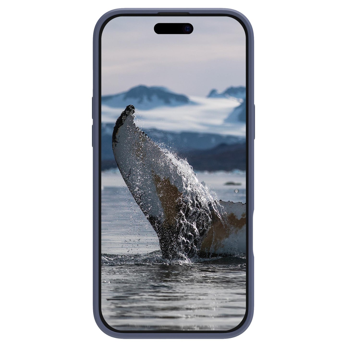 dbramante GREENLAND PRO MS - IPHONE 15 -