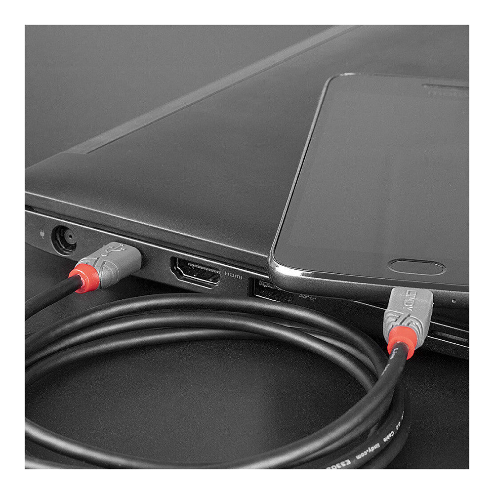 LINDY USB 2.0 Kabel Typ C/Micro-B Anthra Line M/M 0.5m