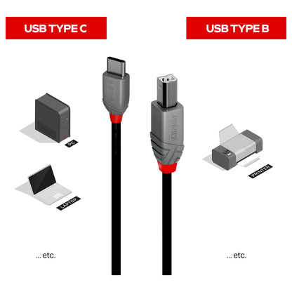 LINDY 1m USB 2.0 Typ C an B Kabel, Anthra Line