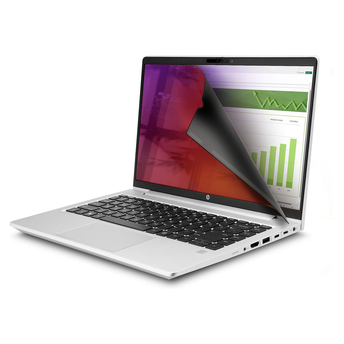 StarTech 15.6IN LAPTOP PRIVACY SCREEN