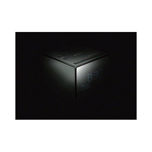 Sony XDR-C1DBP titan black