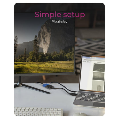 Adapter IcyBox HDMI A-Typ zu VGA