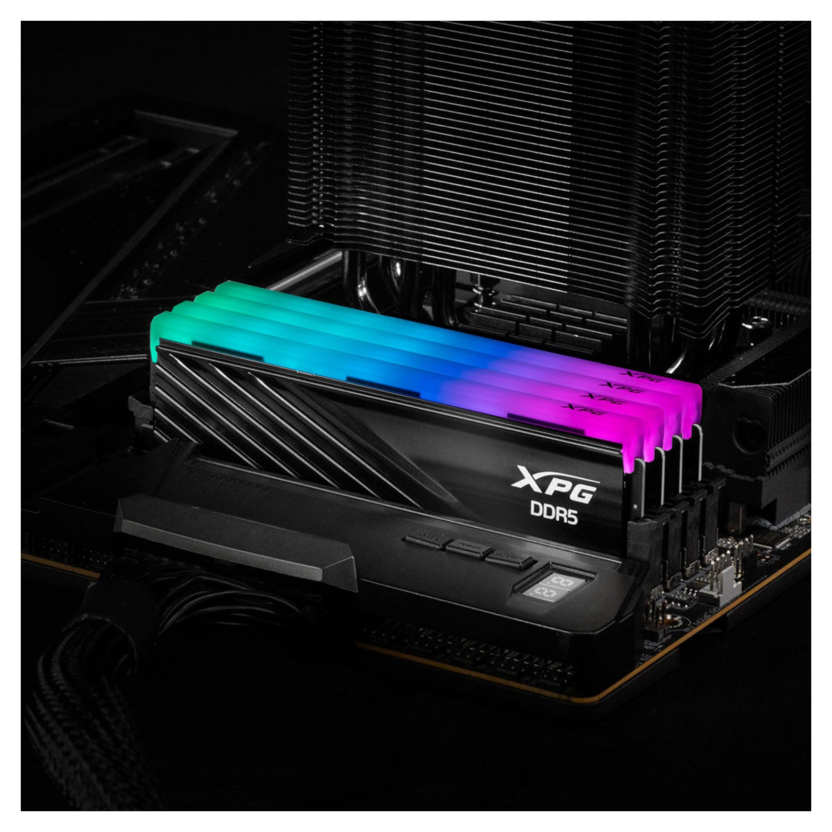 ADATA DIMM 8 GB DDR5-5600 (1x 8 GB) (schwarz, AX5U5600C468G-SLABRBK, XPG Lancer Blade RGB, INTEL XMP, AMD EXPO)