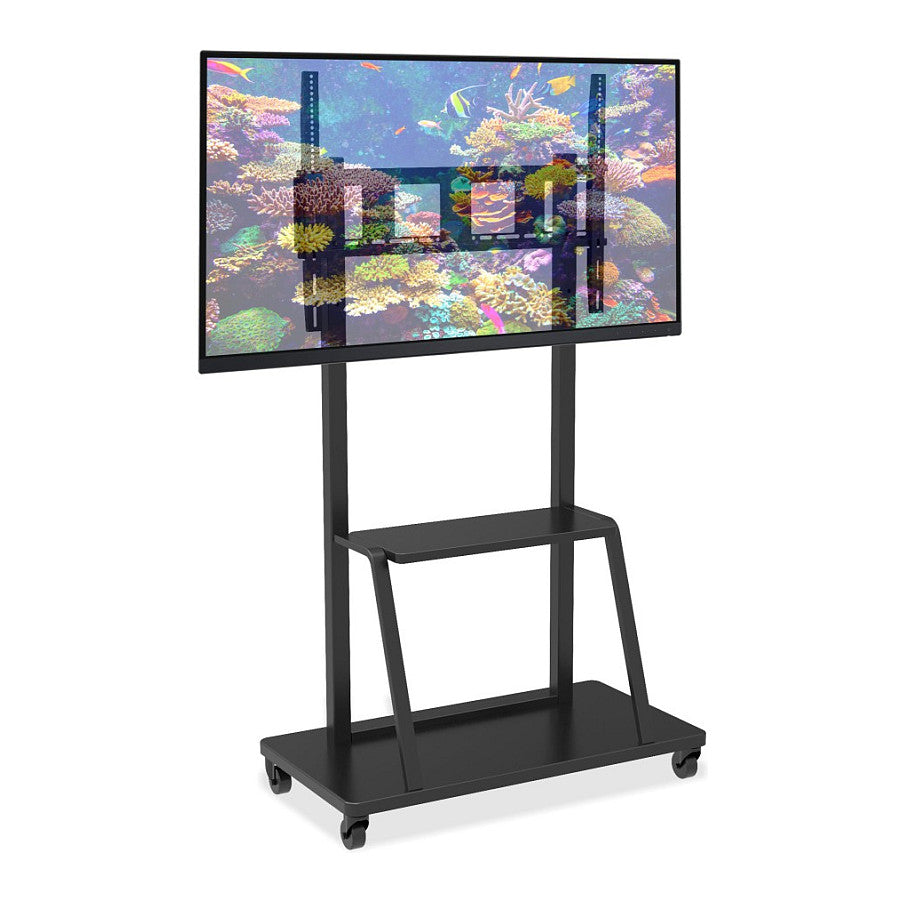 Techly TV Wagen, Multifunktion, 55"-100" höhenverstellbar