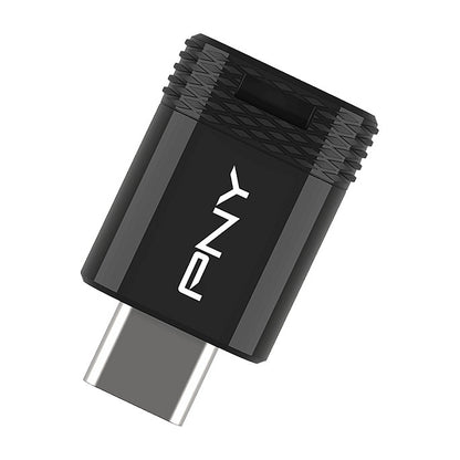 STICK PNY Elite-X Fit - USB flash drive - 256 GB