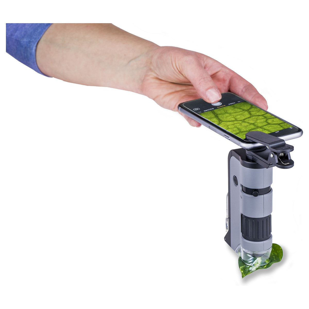 Carson MicroFlip 100x - 250x LED Pocket Mikroskop