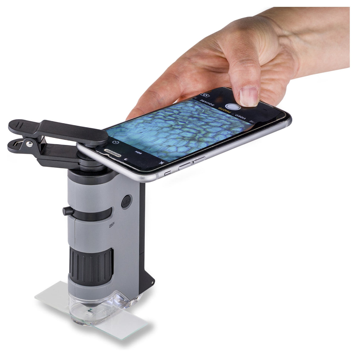 Carson MicroFlip 100x - 250x LED Pocket Mikroskop