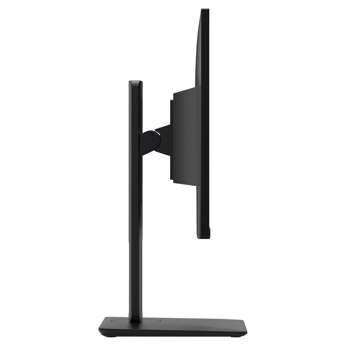 MSI PRO MP245PG Office Monitor - IPS Panel, 100Hz Höhenverstellbar (120mm)