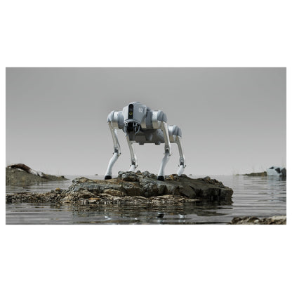 Unitree Go2 Air Roboterhund (Inklusive Ferbedienung)