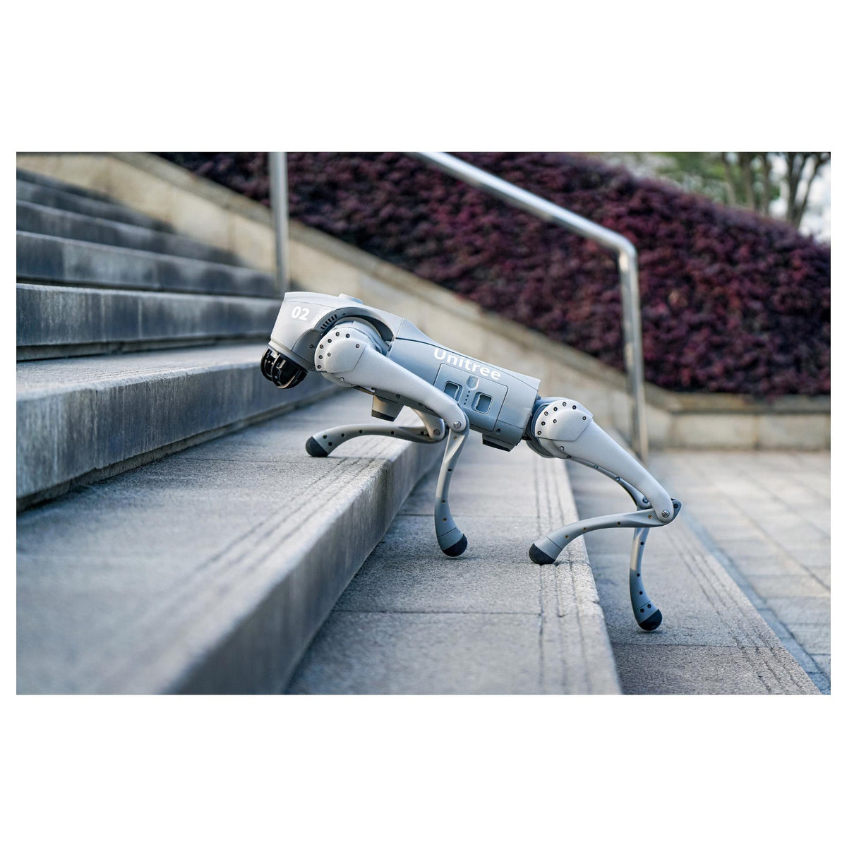 Unitree Go2 Air Roboterhund (Inklusive Ferbedienung)