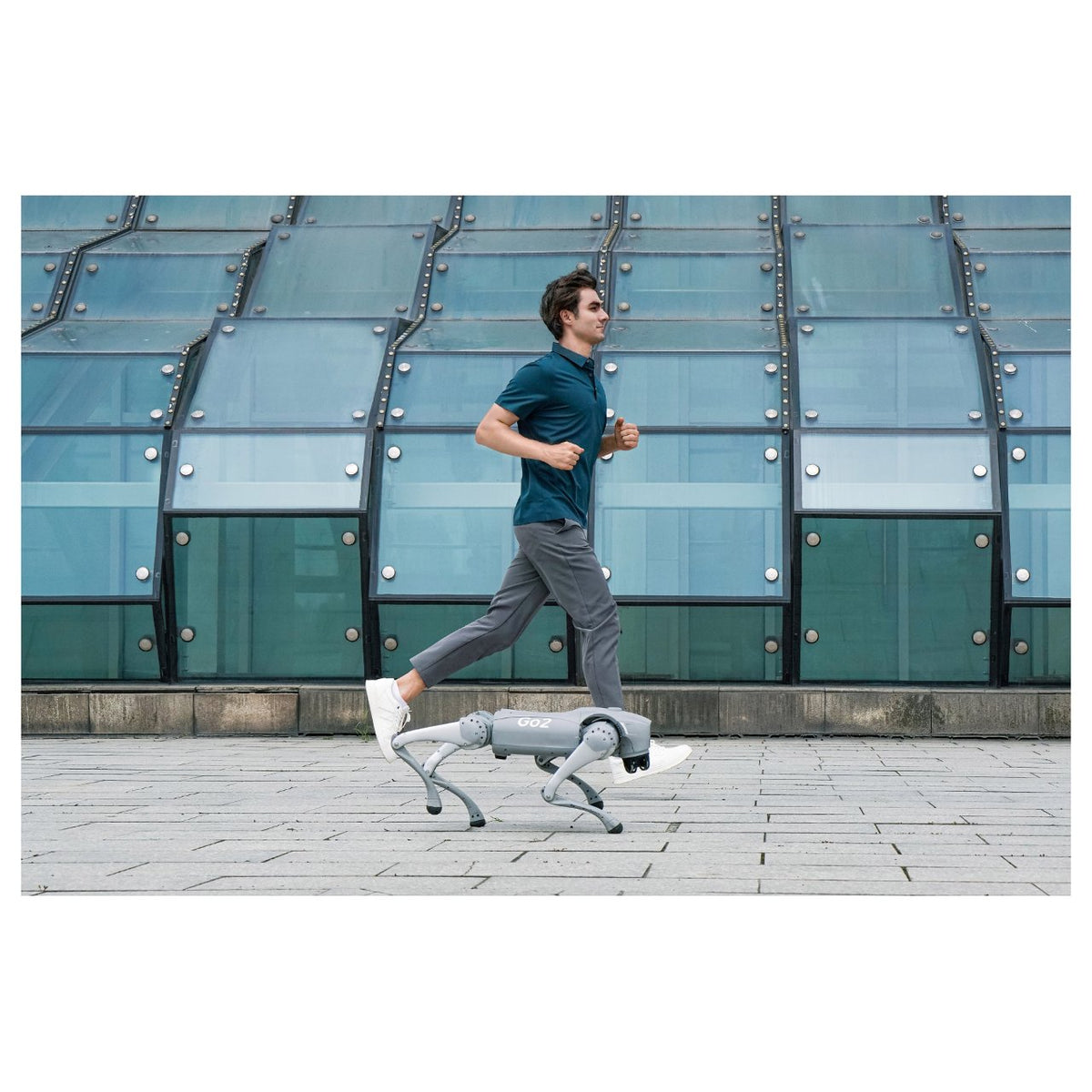 Unitree Go2 Air Roboterhund (Inklusive Ferbedienung)