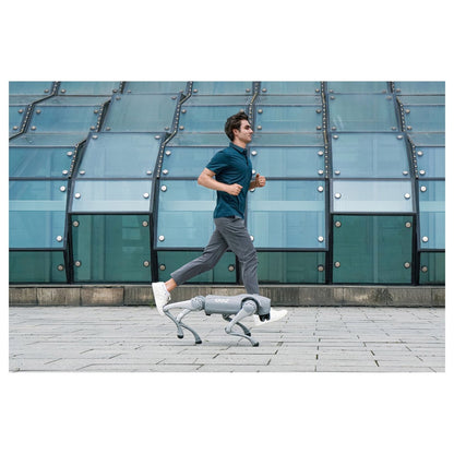 Unitree Go2 Air Roboterhund (Inklusive Ferbedienung)