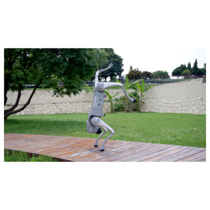Unitree Go2 Air Roboterhund (Inklusive Ferbedienung)