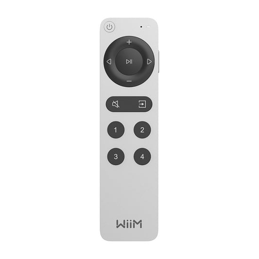 WiiM Sprachfernbedienung 2 silber