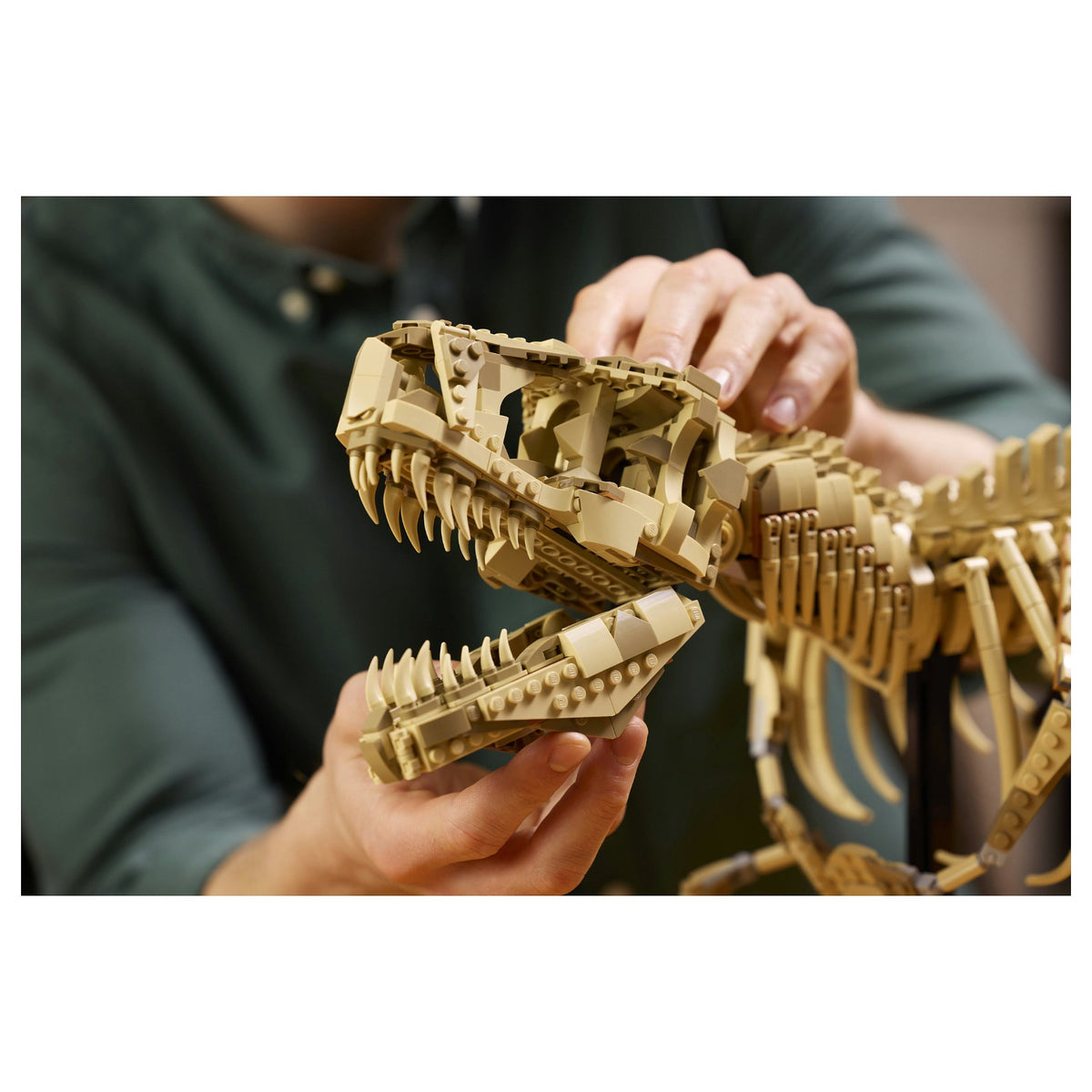 Jurassic World 76968 Dinosaurier-Fossilien: Tyrannosaurus Rex