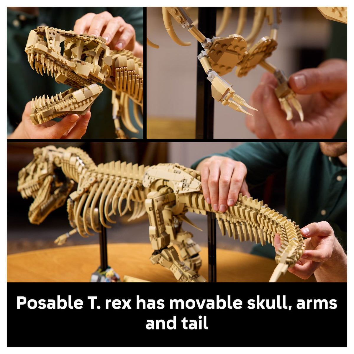 Jurassic World 76968 Dinosaurier-Fossilien: Tyrannosaurus Rex