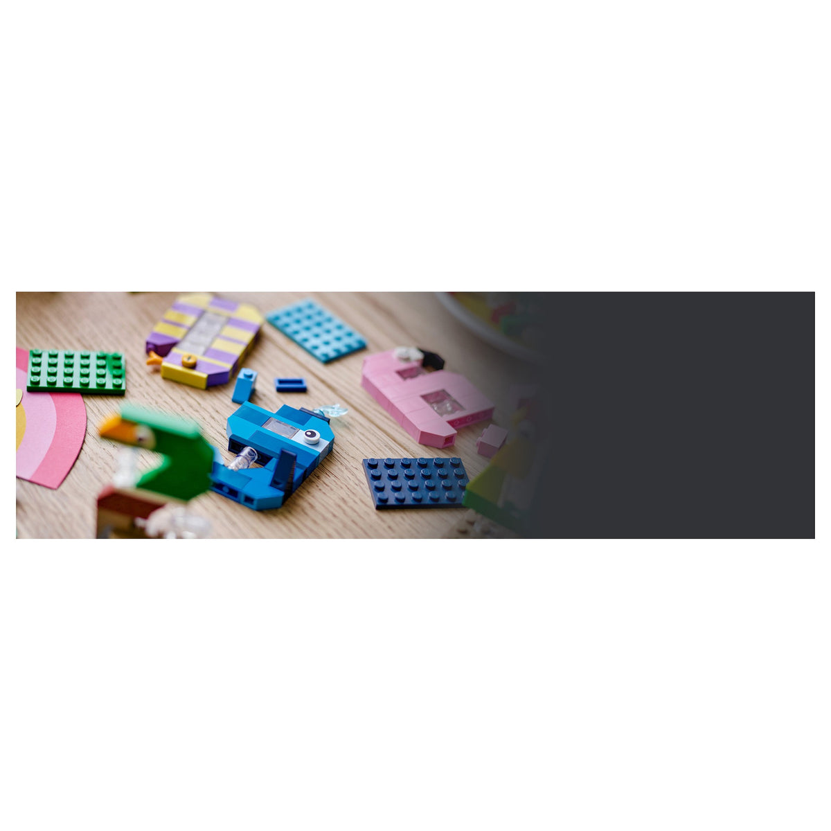 LEGO 40807 Seasonal Geburtstagszahlen