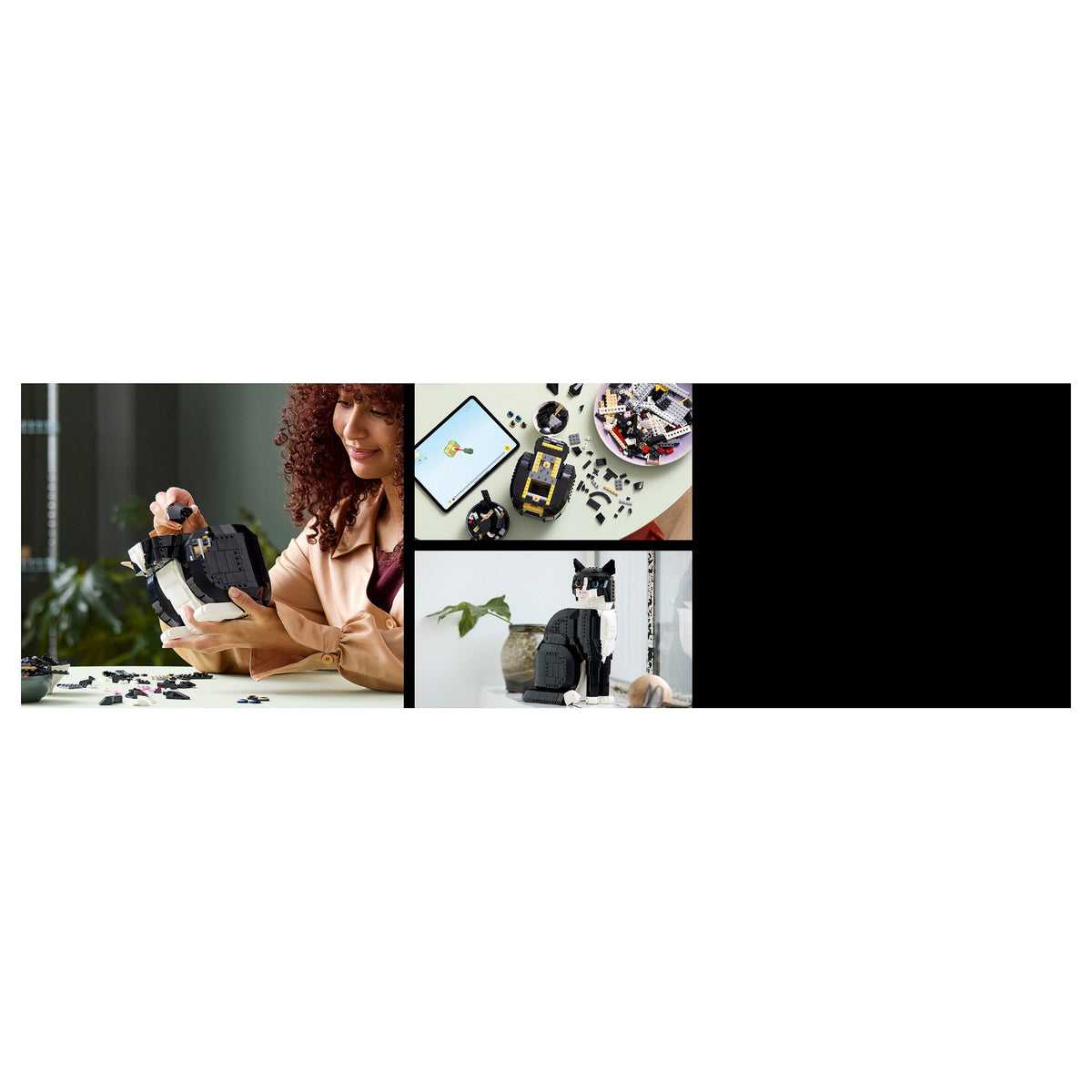 Ideas Schwarz-weisse Katze 21349