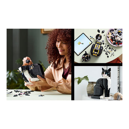 Ideas Schwarz-weisse Katze 21349