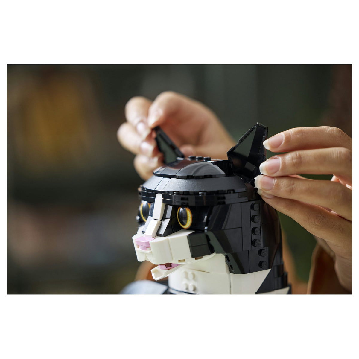 Ideas Schwarz-weisse Katze 21349