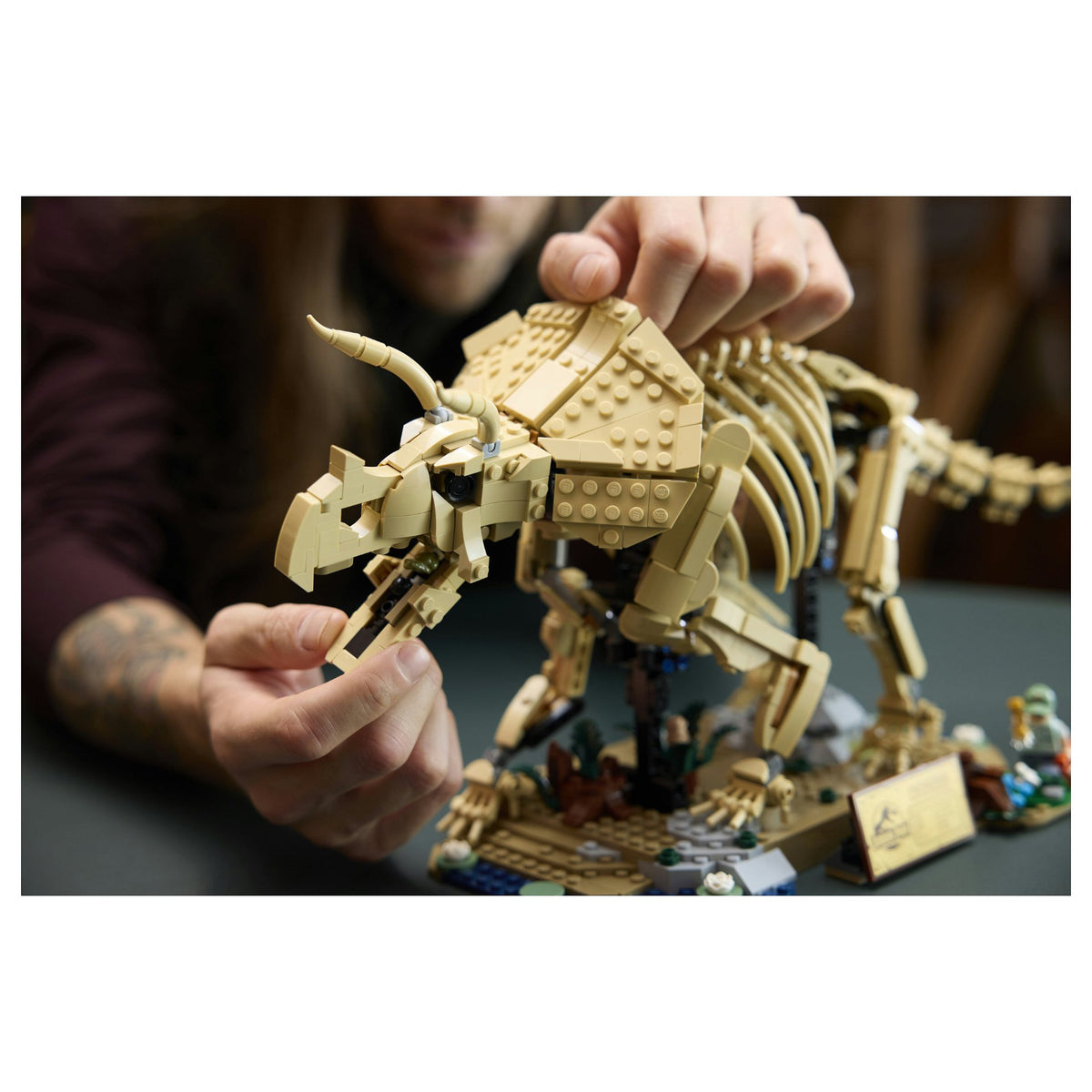 77985 LEGO 77985 J.W. TBA (8.4.)